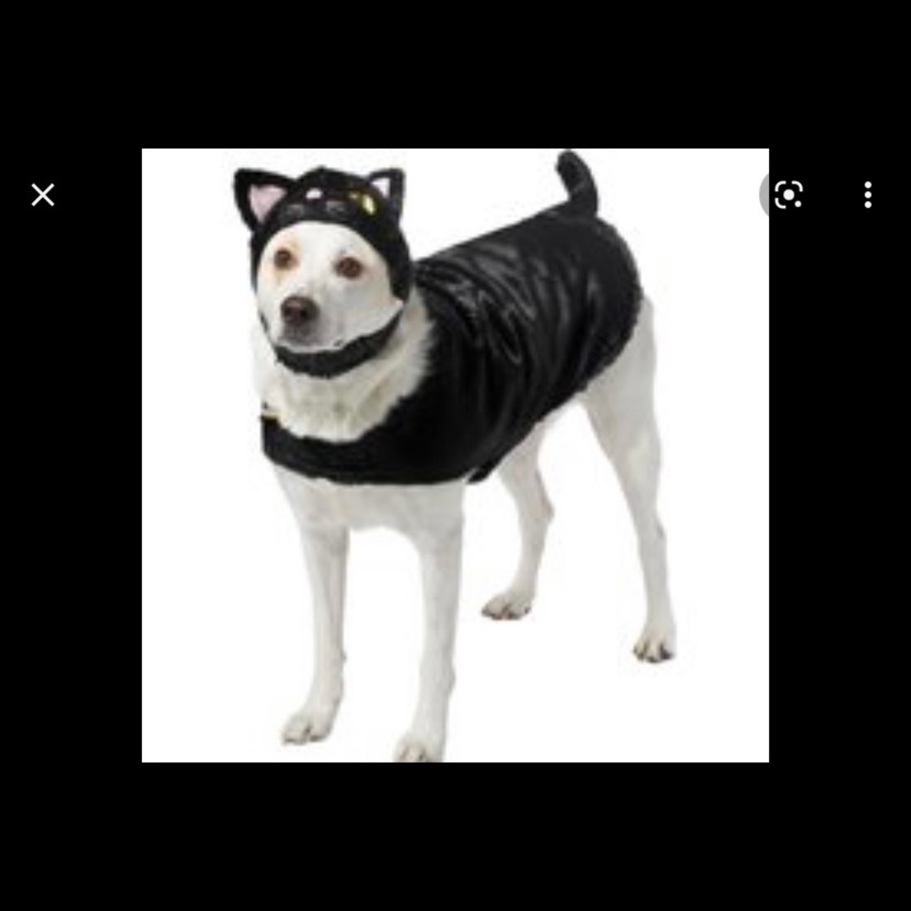 Black cat dog costume